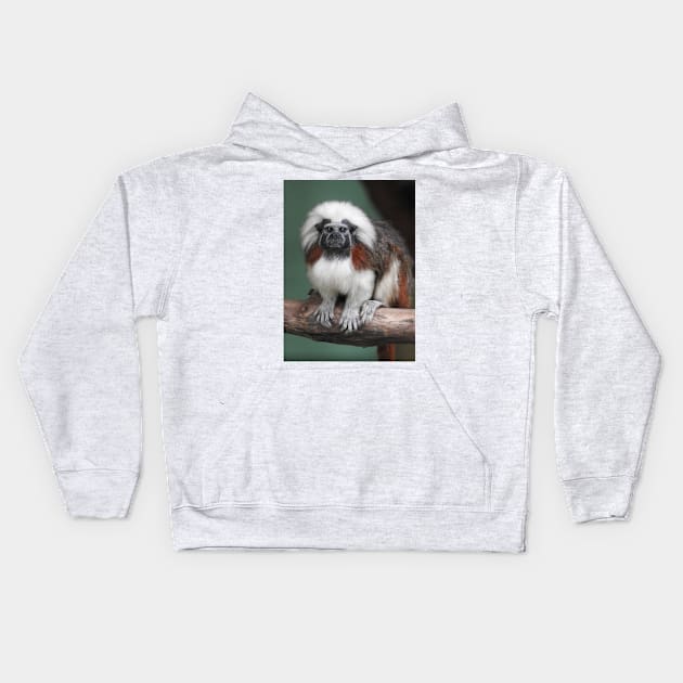 Cotton-top Tamarin Kids Hoodie by kirstybush